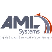 AML Systems Co., Ltd logo - Similar company to Aml Systems - Johnson Electric Group