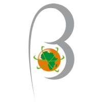 Beta Trade & Services Group logo - Similar company to Century Consulting Group