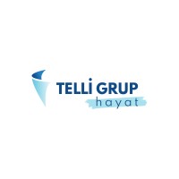Telli Grup Hayat logo - Similar company to Autogong
