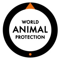 World Animal Protection Nederland logo - Similar company to Stichting Aap