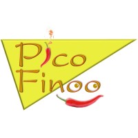 PicoFinoo logo - Similar company to Gs Research