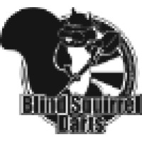 Blind Squirrel Darts logo - Similar company to Rocket Darts