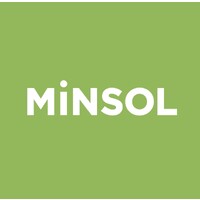 MiNSOL logo - Similar company to Gainwell Engineering