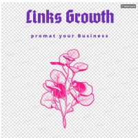 SEO Links Growth logo - Similar company to Healthy