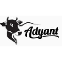 Adyant logo - Similar company to Anahory Monteiro