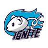 Delft Student Esports Association Ignite logo - Similar company to Tsea Link