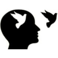 PIA Consultancy & Engineering Pvt. Ltd. logo - Similar company to Savitar Services Pvt Ltd