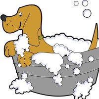 Dog Care Life logo - Similar company to Dogalize