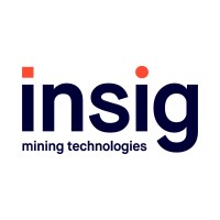 Insig Technologies logo - Similar company to Whitech Software Solutions