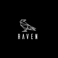 Deep Raven logo - Similar company to Gpo Solutions
