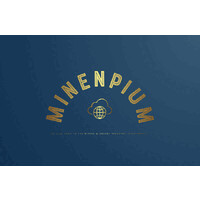 Minenpium LLC logo - Similar company to Wiselearn