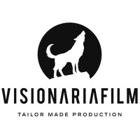 Visionaria Film logo - Similar company to Panalight Spa