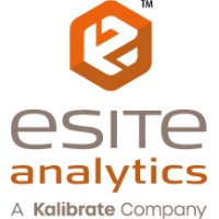 eSite Analytics logo - Similar company to Kalibrate