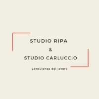 Studio Ripa e Studio Carluccio logo - Similar company to Conseil Srl