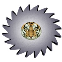 Sawblade Ventures, LLC logo - Similar company to Zhejiang Langchao Precision Machinery Co., Ltd.-Tideway Tools