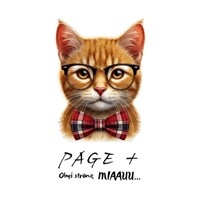 PAGE+ Strony internetowe logo - Similar company to Proformat - Strony Internetowe