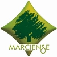Industria Aceitunera Marciense, S.A. logo - Similar company to Mitico