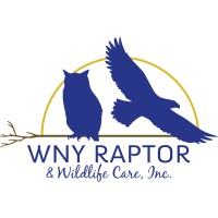 WNY Raptor and Wildlife Care, Inc. logo - Similar company to Mbms, Inc.
