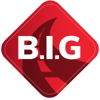 Brothers Infrastructure Group Construction logo - Similar company to Sovereign Mining