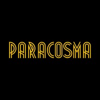Paracosma logo - Similar company to Craftdata Labs