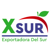 XSUR logo - Similar company to Yolo Group Spa