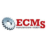 ECMS srl logo - Similar company to Lf Solution Srl