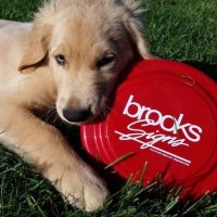Brooks Signs logo - Similar company to Sunset Sign Co Ltd.