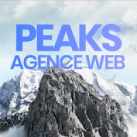Peaks - Agence Web logo - Similar company to Valeur Web