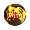 KMS (KMS-PAKISTAN) logo - Similar company to Kms Aviation Consultants