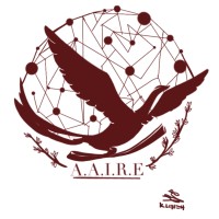 TheAAIRE logo - Similar company to Gltr