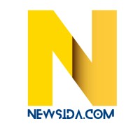 Newsida logo - Similar company to Desvelper • Dev X Des Lab