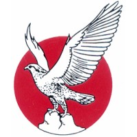 National Cement Company P.S.C., Dubai logo - Similar company to Vietnam Cement Tile Company