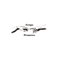 GRUPO PROMETEO MX logo - Similar company to Vertical Patch