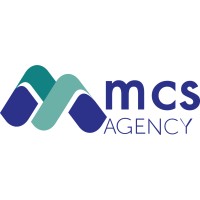 MCS  (Momentum Consulting et Services) logo - Similar company to Biznetwork