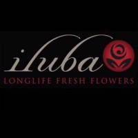 iluba Flowers logo - Similar company to Quickie