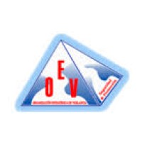 Oesvica C.A logo - Similar company to Corinproinca Seguridad Y Vigilancia Privada