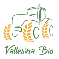 Vallesina Bio logo - Similar company to Sitrap