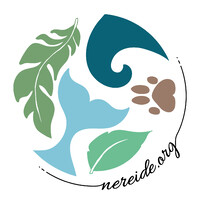 Nereide logo - Similar company to Turmares Tarifa