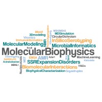 Molecular Biophysics Lab, Iit Hyderabad