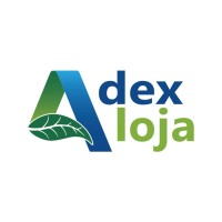 Adex Loja Negócios logo - Similar company to Adex Group