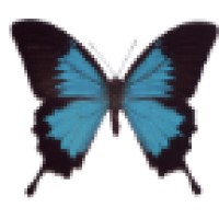 LAUDAN CONSULTING logo - Similar company to Appsfire