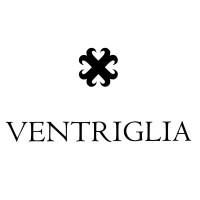 Ventriglia logo - Similar company to Artwizard Ltd.