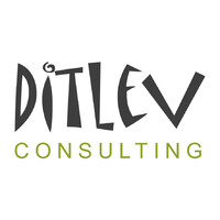 Ditlev Consulting logo - Similar company to E-Commerce Analytics