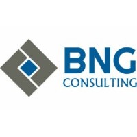 BNG Consulting, Inc. logo - Similar company to Bng Payments