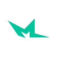 Megastar Advisors logo - Similar company to Excel
