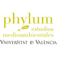 phylum estudios medioambientales logo - Similar company to Verdea