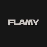 Flamy: Gives You Fame!! logo - Similar company to Code Kraft Solutions