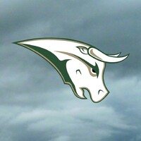 Northside Bulls