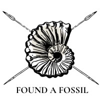Found a Fossil logo - Similar company to Dinosaur Experiences Australia