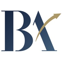 Bizness Analytics Inc. logo - Similar company to Domin8Active